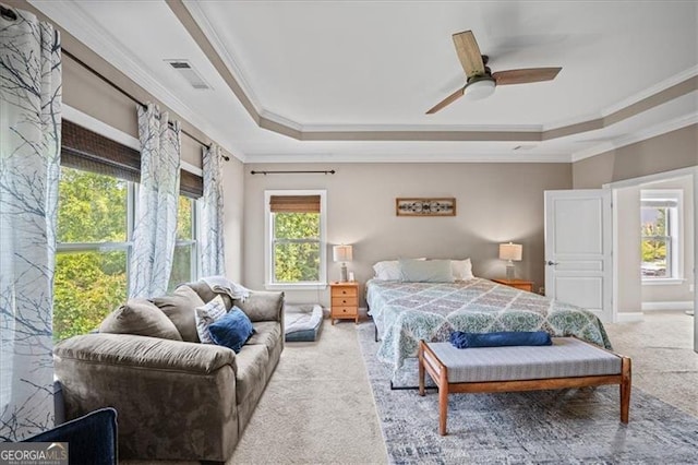 carpeted bedroom with a raised ceiling, ornamental molding, and multiple windows