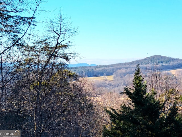 property view of mountains