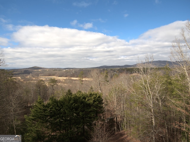 view of mountain feature