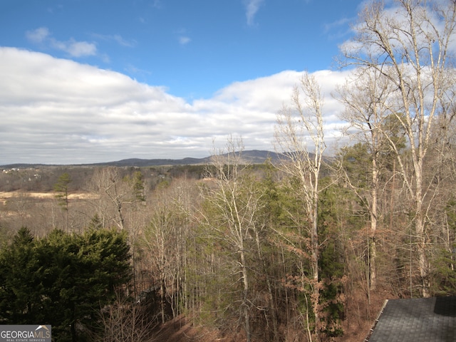 view of mountain feature