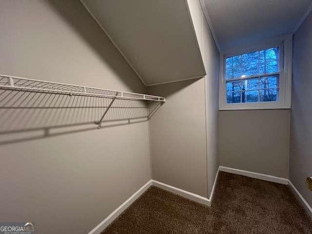 spacious closet featuring carpet