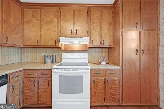 kitchen with electric stove, decorative backsplash, and black dishwasher