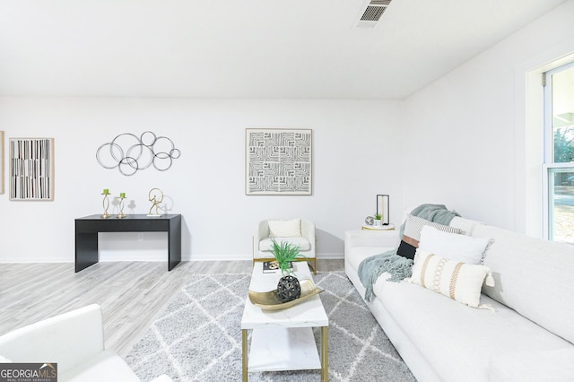 living room with wood-type flooring