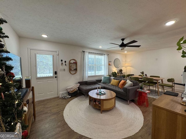 living room with ceiling fan, dark hardwood / wood-style floors, and a textured ceiling