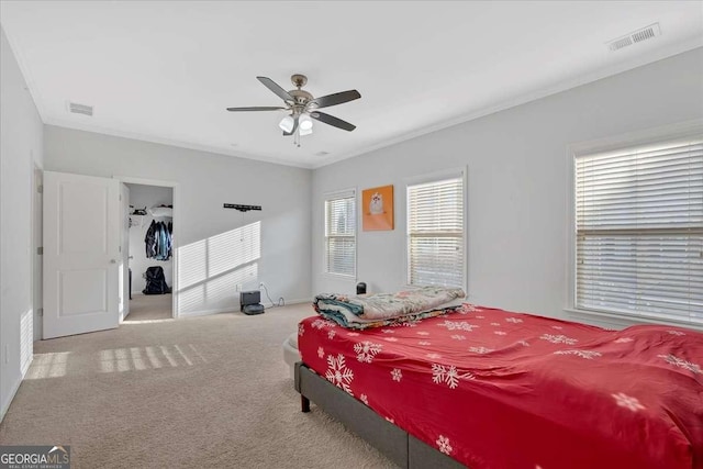 carpeted bedroom featuring crown molding, a walk in closet, and ceiling fan