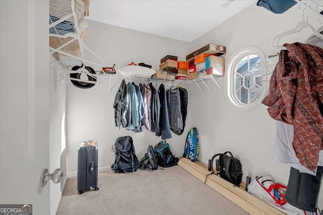 spacious closet featuring carpet floors