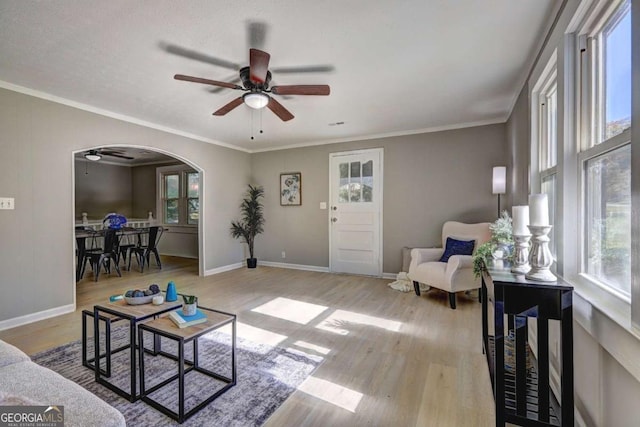 living room with ornamental molding, ceiling fan, and light wood-type flooring