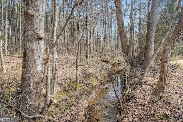 view of local wilderness