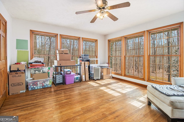 interior space featuring ceiling fan and light hardwood / wood-style floors