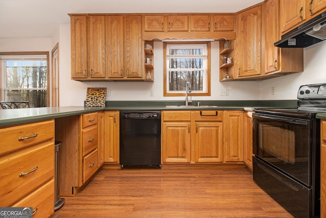 kitchen with sink, light wood-type flooring, and black appliances