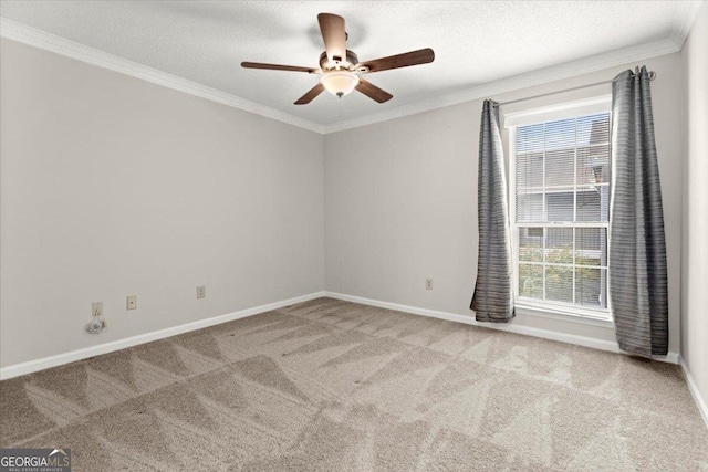 spare room featuring crown molding, light colored carpet, and a textured ceiling