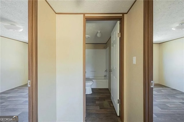 corridor with dark wood finished floors and a textured ceiling