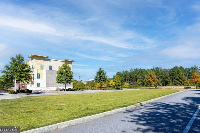 view of community featuring a yard