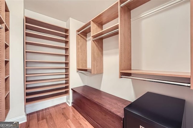 spacious closet featuring wood-type flooring