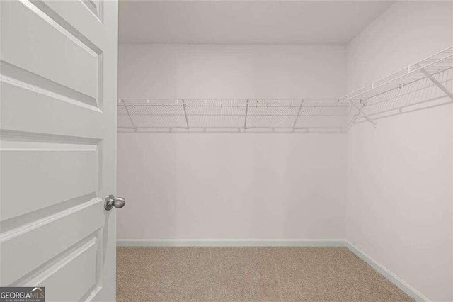 spacious closet with carpet flooring