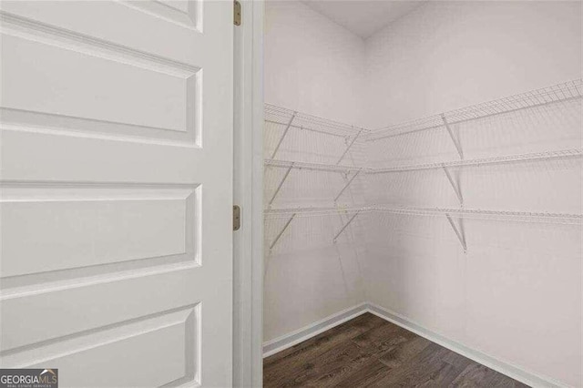 spacious closet featuring dark wood-type flooring