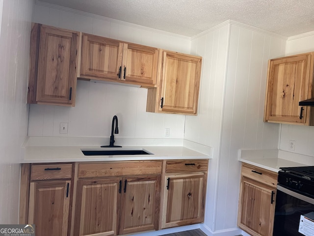 kitchen with sink, black range with gas stovetop, and a textured ceiling