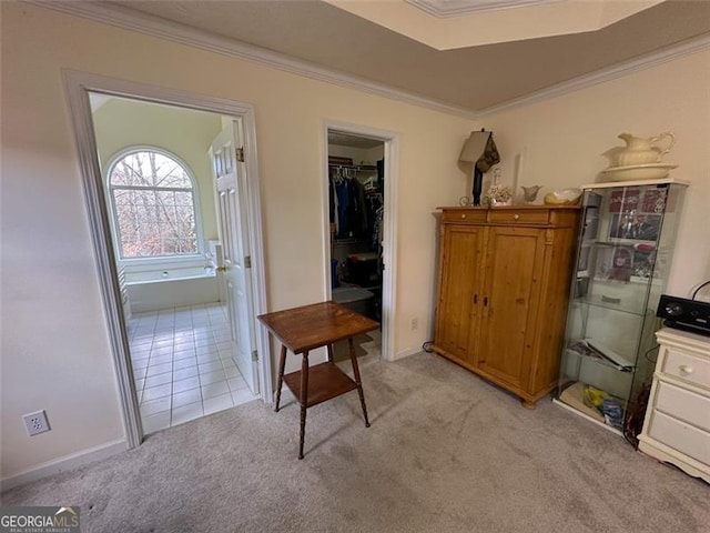 interior space featuring crown molding and light carpet