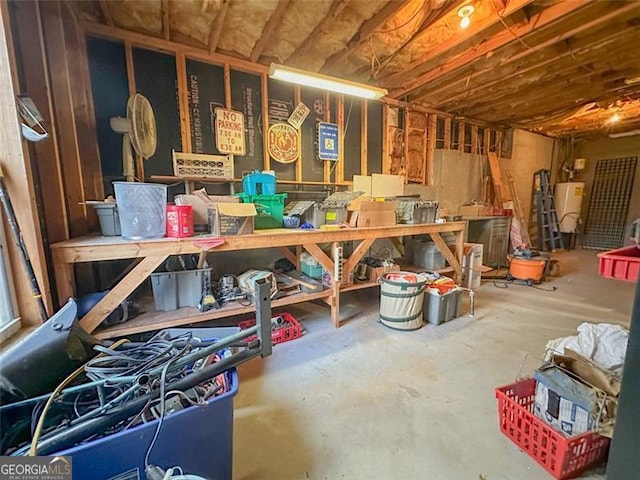 storage featuring gas water heater