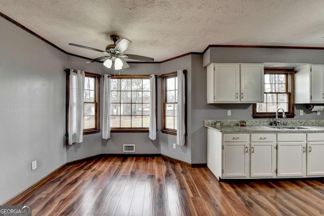 kitchen featuring dark hardwood / wood-style floors, white cabinetry, sink, ornamental molding, and light stone countertops