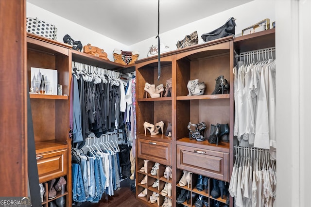 spacious closet featuring dark hardwood / wood-style floors