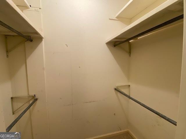 view of walk in closet