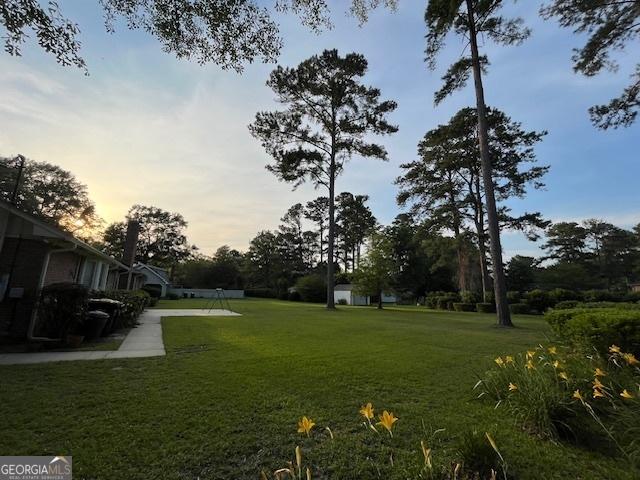 view of yard at dusk