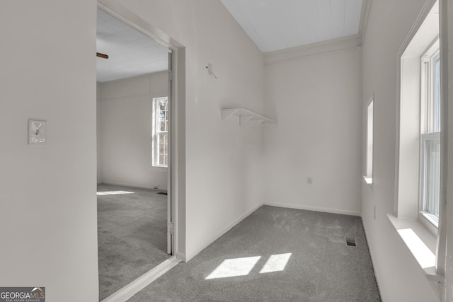 empty room featuring ornamental molding and carpet floors