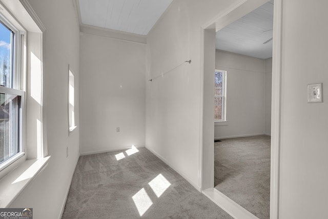 unfurnished room with crown molding, light colored carpet, and plenty of natural light