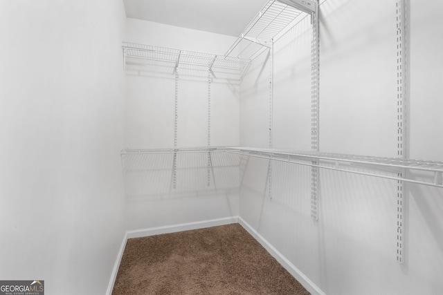 walk in closet with carpet