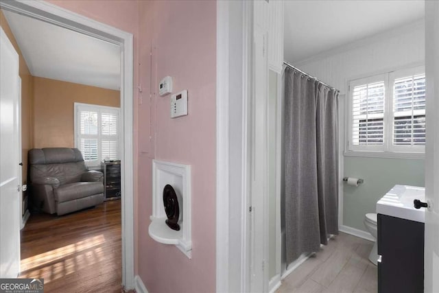 bathroom with vanity, plenty of natural light, and wood-type flooring