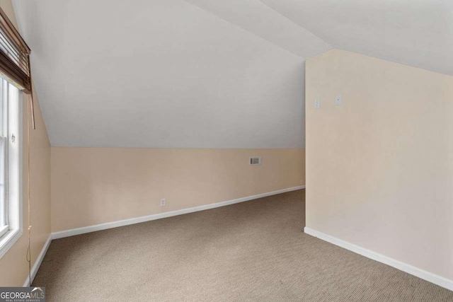 additional living space with lofted ceiling, carpet flooring, and a wealth of natural light