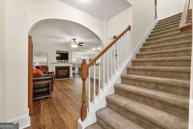 staircase with hardwood / wood-style flooring and ceiling fan