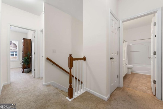 hallway featuring light colored carpet