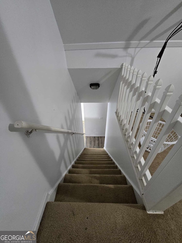 stairway featuring carpet floors