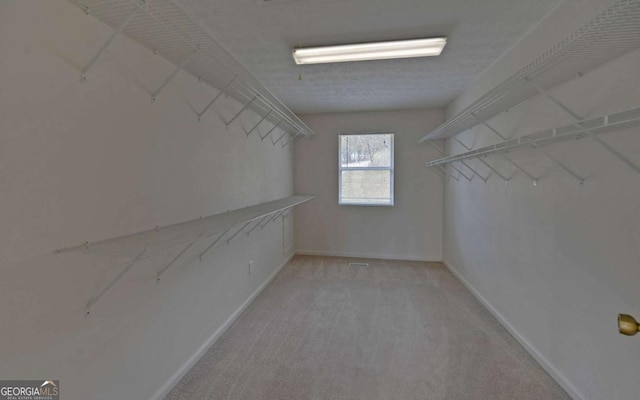 walk in closet with light colored carpet