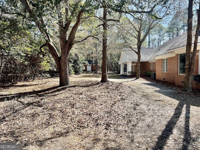 view of yard featuring driveway