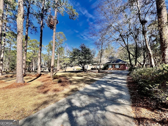 view of road with driveway