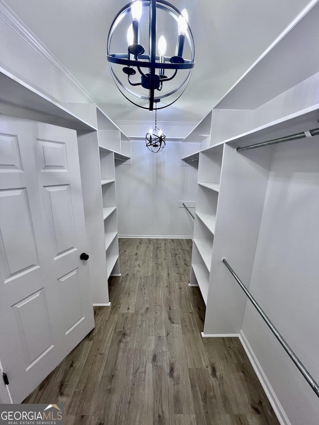 walk in closet with wood finished floors and a notable chandelier