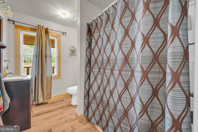 bathroom featuring hardwood / wood-style flooring, vanity, and toilet