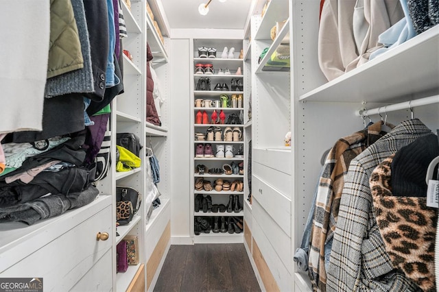 spacious closet featuring dark wood-type flooring