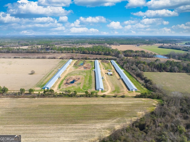 441 Weaver Rd, Moultrie, GA 31768