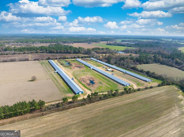 441 Weaver Rd, Moultrie, GA 31768