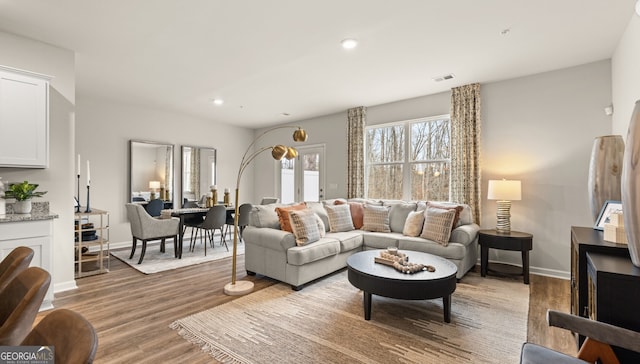 living room with hardwood / wood-style flooring