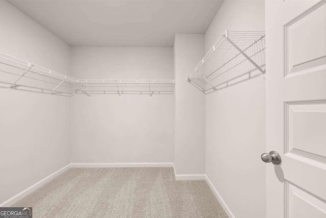 spacious closet with light carpet