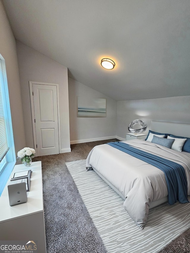 1295 Ga Highway 49, Macon, GA 31211 - carpeted bedroom featuring baseboards and lofted ceiling