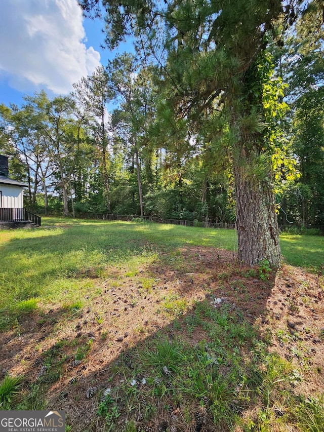 1295 Ga Highway 49, Macon, GA 31211 - view of yard