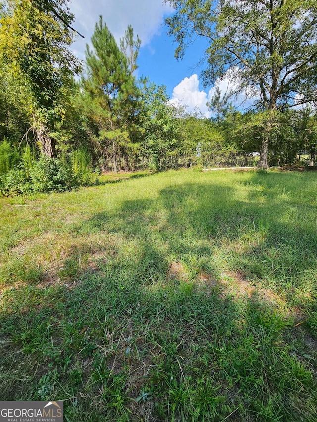 1295 Ga Highway 49, Macon, GA 31211 - view of yard