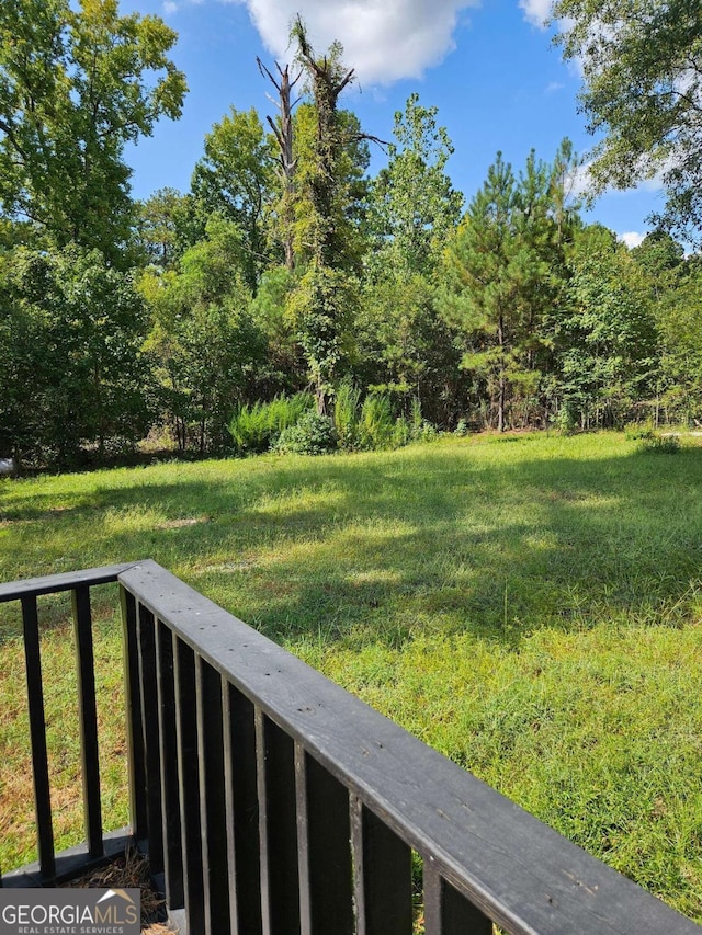 1295 Ga Highway 49, Macon, GA 31211 - view of yard