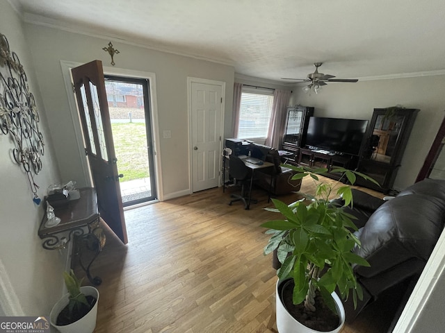 foyer with hardwood / wood-style floors, ornamental molding, and ceiling fan